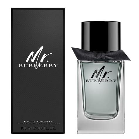 mr burberry mens perfume|Burberry brit for men fragrantica.